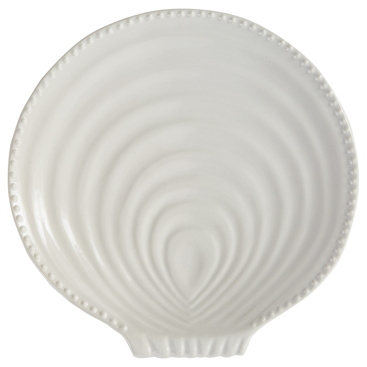 Split P Seashell Dinner Plate - Set of 4