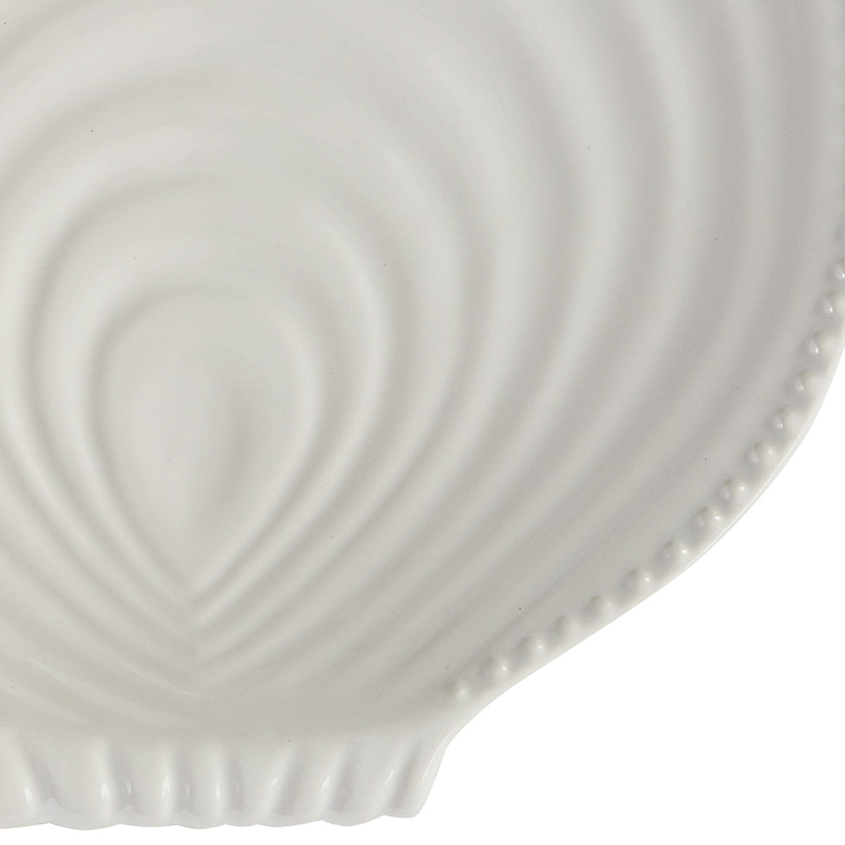 Split P Seashell Dinner Plate - Set of 4