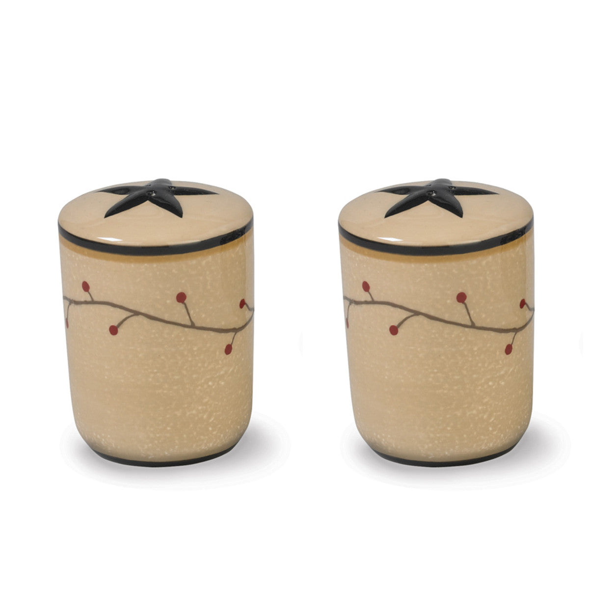 Park Designs Star Vine Salt and Pepper Set